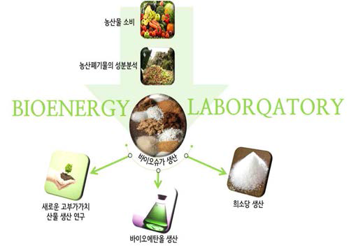 농산 폐기물 활용 고부가가치 산물 생산 시스템 Ⅱ