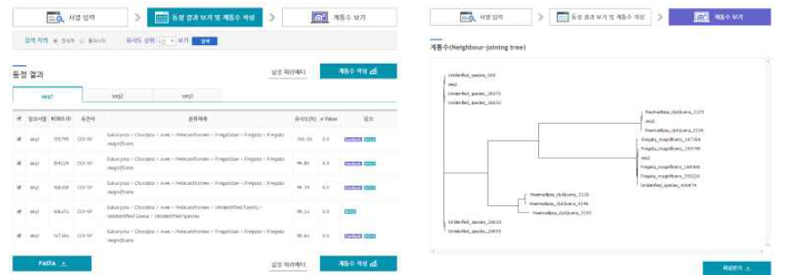 KOBIS DNA 분류 동정 결과 및 계통수 작성 결과 화면