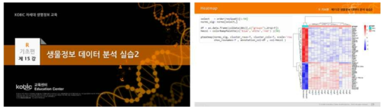 R 기초편 제15강 강의 자료
