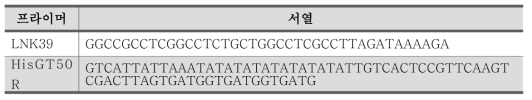 본 연구에서 사용된 PCR primer