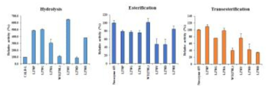 CalB1422-278 변이주의 hydrolysis, esterification, tranesterification 활성 비교