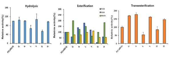 CalB14-278 변이주의 hydrolysis, esterification, tranesterification 활성 비교