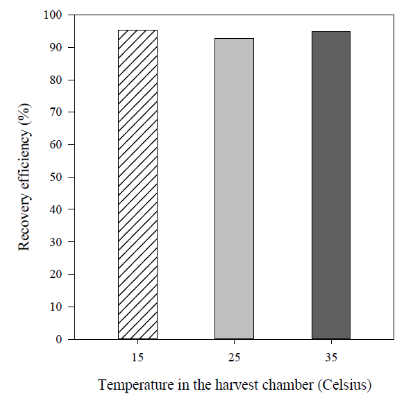 Mean recovery efficiency as a function of harvest time with different temperature in the harvest chamber