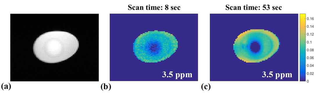 White egg phantom을 이용한 MRI 영상. (a) 일반 MRI 영상. (b) 제안하는 기법으로 획득한 단백질용 CEST MRI 영상. (c) 기존 기법으로 획득한 단백질용 CEST MRI 영상