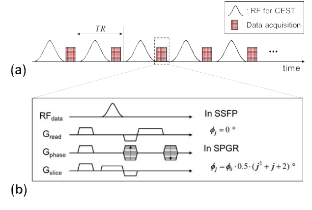 기존 CEST 영상화 기법(SPGR)과 제안하는 영상화 기법(SSFP)의 pulse sequence diagram