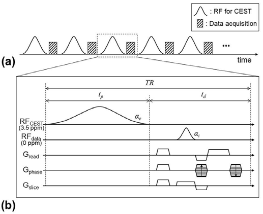 Steady state를 활용하는 제안하는 고속 CEST 영상화 기법