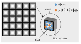 수소와 다핵종 영상의 SNR 차이