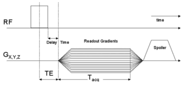 3D radial ultrashort TE sequence 도표