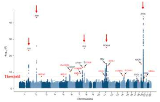 알츠하이머성 치매에 대한 Meta-analysis 의 manhattan plot