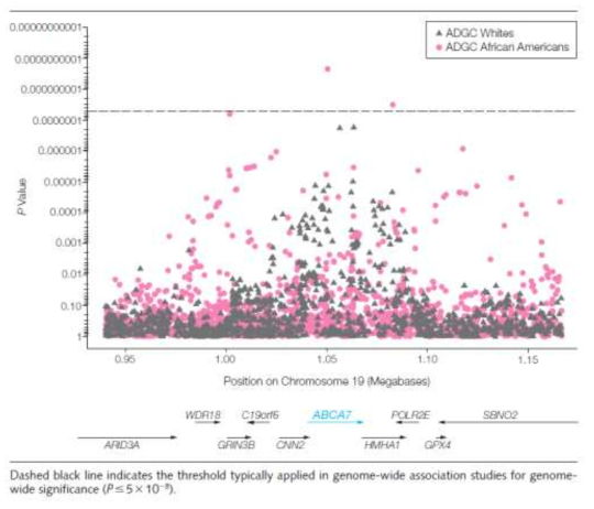 African american 인종의 LOAD 전장유전체 분석결과 확인된 ABCA7 region의 Regional association plot (Akinori Miyashita. et al. JAMA, 2013)