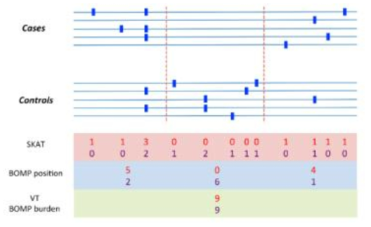 Burden test 의 예시 (Chen YC. et. al. Plos Genet. 2013)