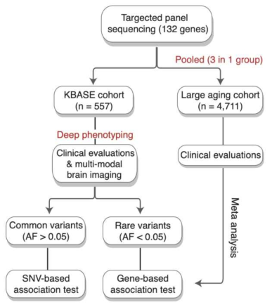 알츠하이머성 치매 유전자 패널 연구를 위한 전체 구성