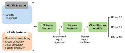 선택된 뇌구조 특징을 이용한 예측 모델 구성