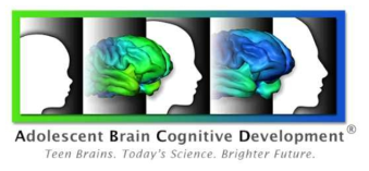 청소년 뇌발달 프로젝트 ABCD 연구