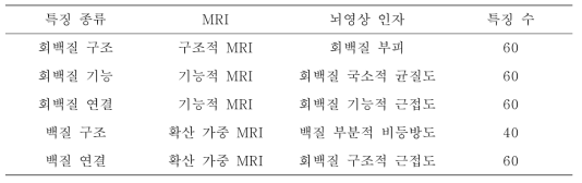 뇌영상 데이터에서 추출한 뇌기능 및 구조 특징