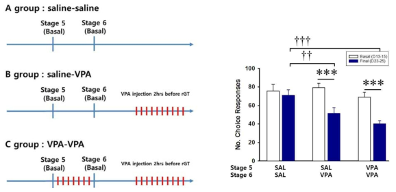 그룹별 chronic valproic acid 주입 시기 (왼쪽). rGT 훈련 후 intermediate 성향을 보이는 쥐들에게 5단계와 6단계 모두에서 chronic valproic acid를 주입하였을 경우, risk-seeking으로 preference가 바뀜 (오른쪽)