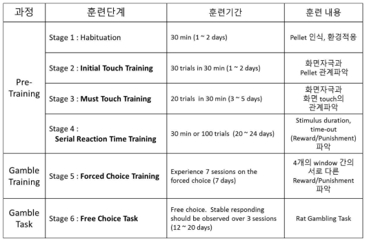 rGT (rat gambling task) 전체 훈련 과정의 각 단계별 개요