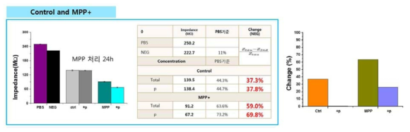 SH-SY5Y cell 내 MPP 처리에 따른 A-syn의 total/ser129 면역 반응에서의 신호 검출 확인