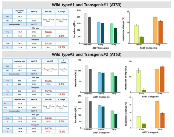 8개월 마우스의 brain lysate 측정 결과: wildtype (WT) vs A53T transgenic (TG)