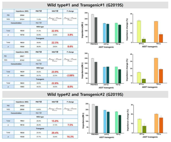 8개월 마우스의 brain lysate 측정 결과: wildtype (WT) vs G2019S transgenic (TG)