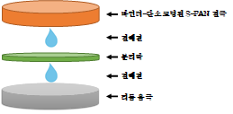 Li/S-PAN 전지의 구조