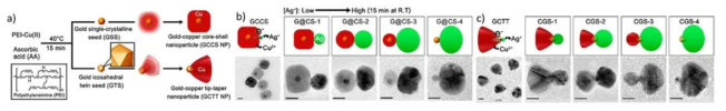 금-구리-은 헤테로 나노구조체의 합성
