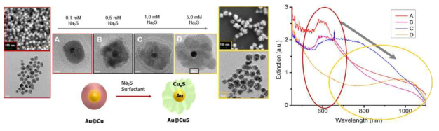 Au@CuS 구조의 합성과 광학 특성