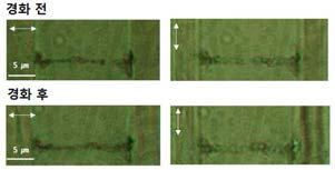 UV 경화 전과 후 선택적 빛 흡수를 나타내는 편광 현미경 이미지