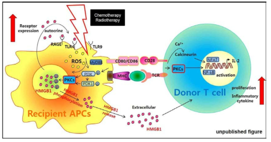 HMGB1 제어를 통한 GVHD 예방과 치료전략 계획