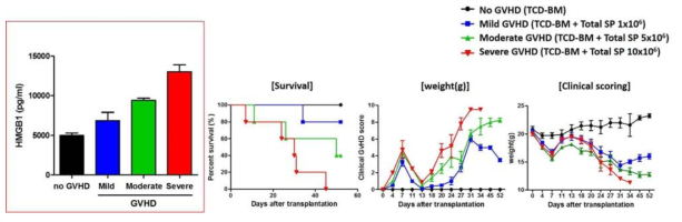 HMGB1는 GVHD 질병 심각도와 함께 증가됨