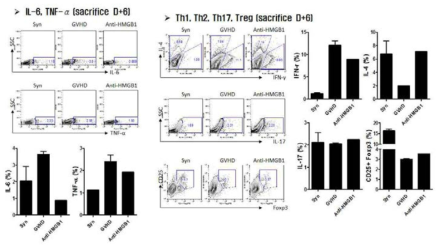 전염증성 사이토카인 및 T 세포 아형 측정