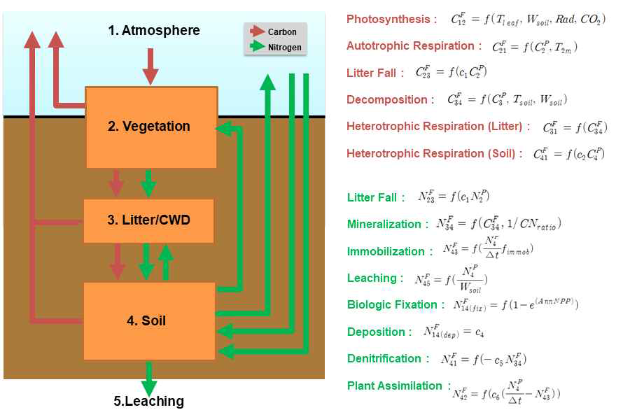 CLM4의 탄소-질소 순환의 모식도 및 영양분 플럭스