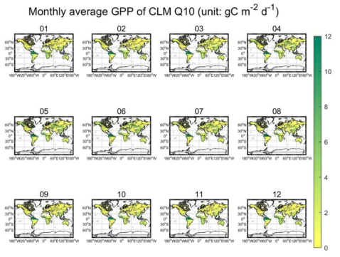 CLM Q10 모델의 GPP 월평균 지도