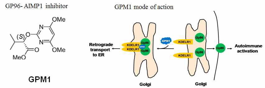 GP96-AIMP1 의 상호작용을 억제하는 PPI modulator의 작용기전