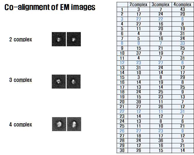 binary, triple, quaternary complex image 들의 co-alignment