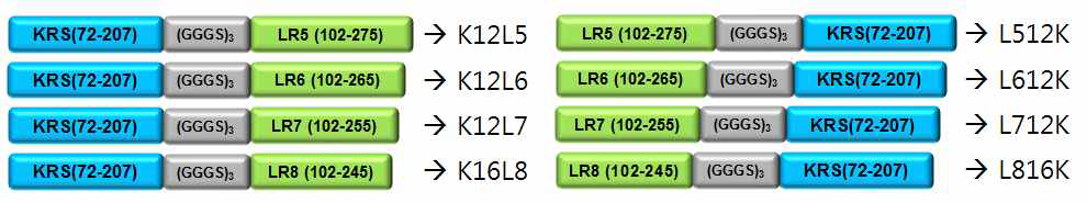 KRS(72-207)과 LR의 cimera protein 디자인에서의 아미노산 시퀀스