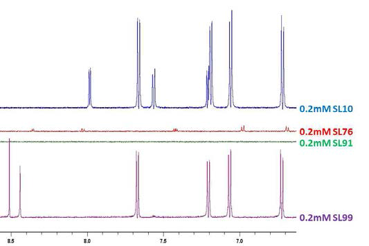4가지 화합물 (SL10, SL76, SL91, SL99)에 대한 1D NMR spectra