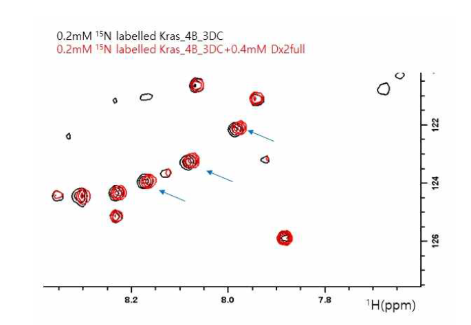 0.2mM 15N K-ras 4B 3DC (검정색) 에 0.4mM DX2 Full을 첨가 후 (빨간색)의 1H-15N TROSY spectra