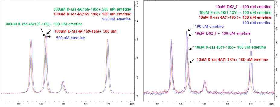 emetine에 두 농도의 K-ras 4A(169-186) 펩타이드 첨가 후의 Relaxation-edited 1D NMR spectra(왼쪽)와 단백질 DX2 full, K-ras-4A(1-185), K-ras-4B(1-185), 첨가 후의 Relaxation-edited 1D NMR spectra (오른쪽)