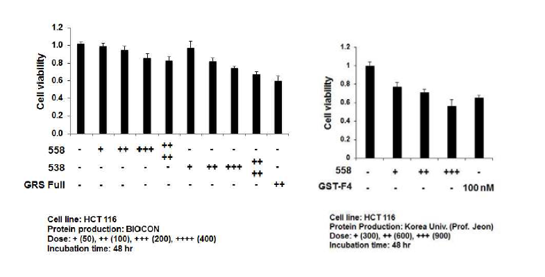 GRS(558-685) 및 GRS(538-685) fragments의 암세포 억제능 비교