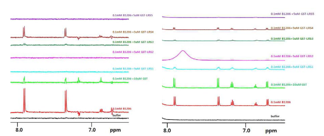 B1206의 LRS mutants 들에 대한 결합실험. (좌) 1D relaxation-edited 실험, (우)일반 1D NMR 실험