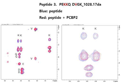EPRS peptide (aa 178-186)의 신호 assignment 와 PCBP2 결합에 따른 신호 변화