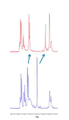 MD2 결합에 의한 WRS (113-135) peptide의 aromatic 신호의 변화