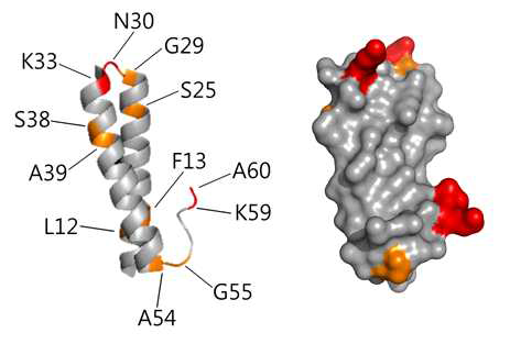 MD2 결합에 의한 WRS WHEP domain (aa 7-61)의 NMR 신호 변화 부위