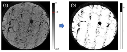 기공도 분석 절차 : (a) 단층 영상, (b) 이진화 영상