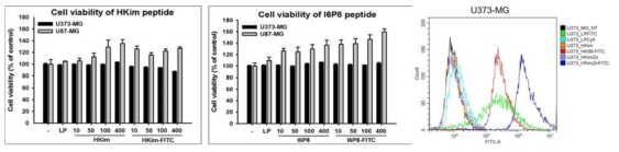 Zn-DPA peptide의 독성 측정 및 뇌세포에의 전달 효율
