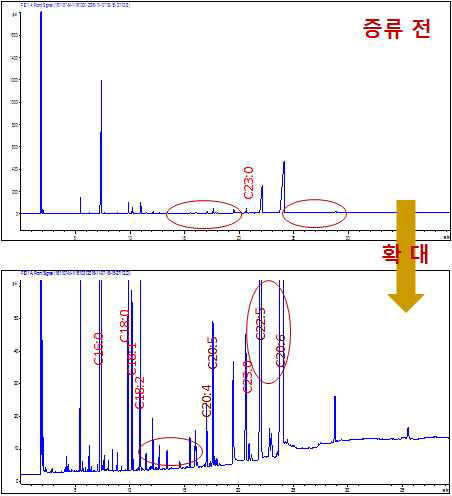 증류 전 FAME GC 패턴