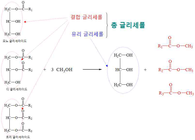 총글리세롤 분석