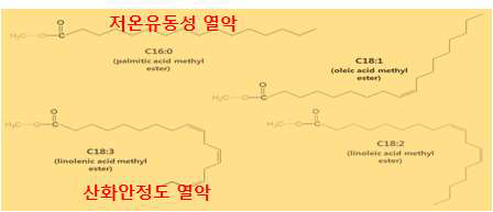 바이오디젤 특성