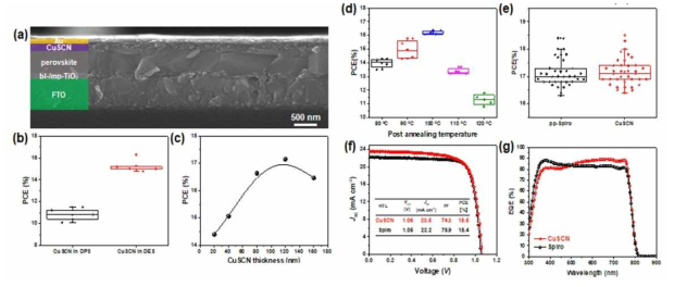 (a) CuSCN 무기 홀 전도체 기반 페로브스카이트 태양전지 소자의 측면 주사 전자 현미경(SEM) 사진, (b) DPS 또는 DES 용매를 사용하여 제조한 태양전지 소자의 광전변환효율, (c) CuSCN 함량에 따른 페로브스카이트 태양전지의 광전변환효율, (e) 최적 조건에서 제조한 spiro-OMeTAD 또는 CuSCN 기반 페로브스카이트 태양전지의 효율 분포도, 최고 효율을 나타내는 소자의 (f) 전류밀도-전압 (J-V) 곡선과 (g) 외부양자효율(EQE) 곡선